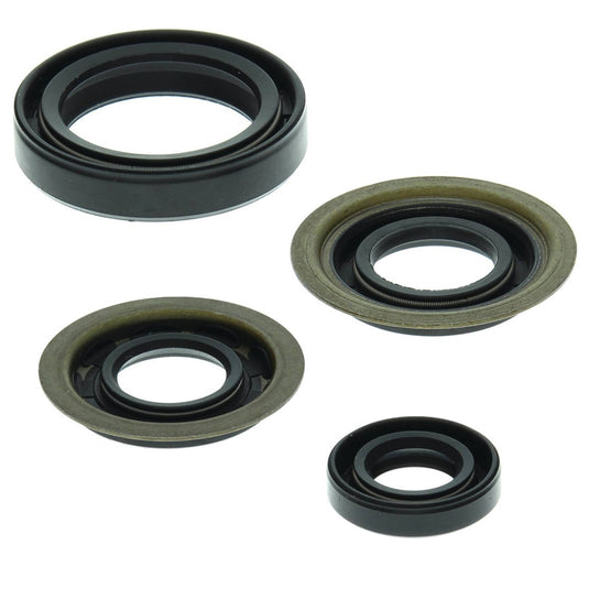 Vertex 822273 Oil Seal Kit