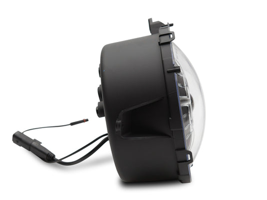 Raxiom J137646 RAX LED Headlights