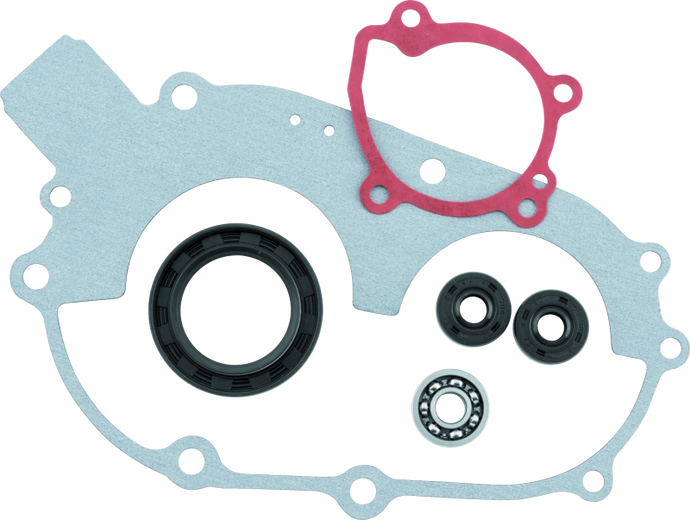 Quadboss 565262 QBS Water Pumps B