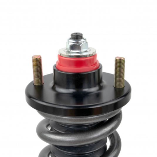Skunk2 Racing 541-05-5005 SK Pro S II Coilovers