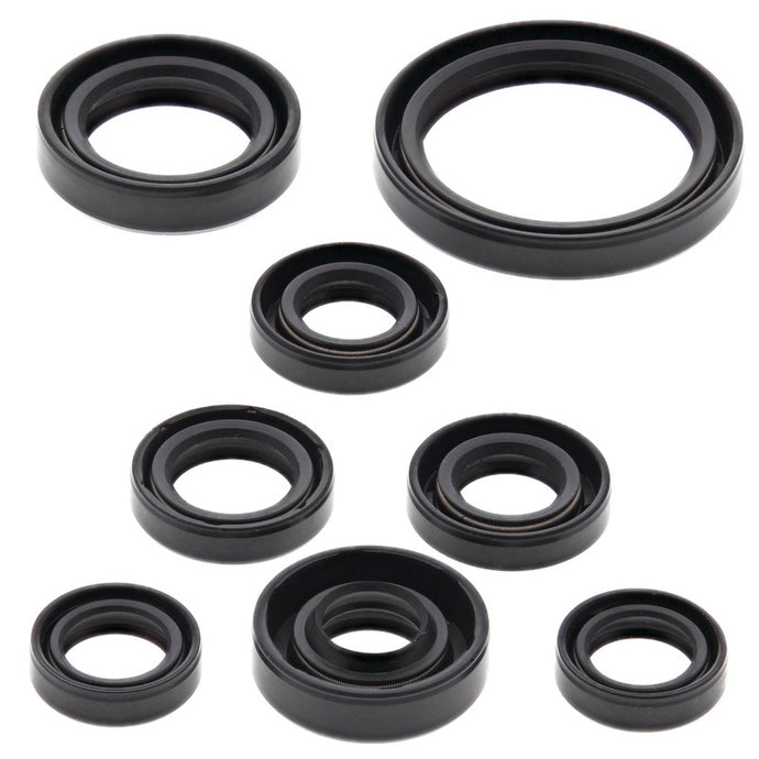 Vertex 822167 Oil Seal Kit