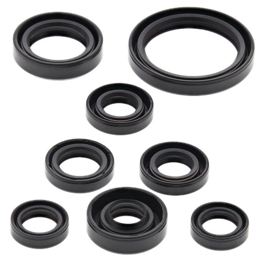 Vertex 822167 Oil Seal Kit