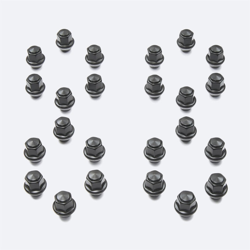 Load image into Gallery viewer, Ford Racing M-1012K-BR FR Lug Nut Kits
