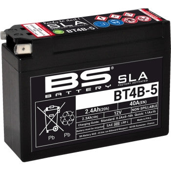 Bs Battery 300756 SLA Factory-Activated AGM Maintenance-Free Battery