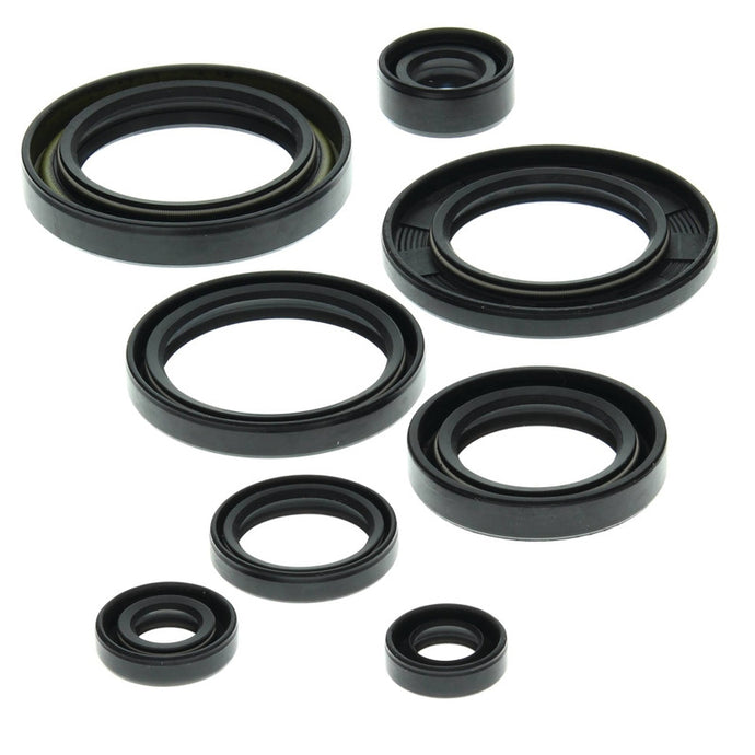 Vertex 822149 Oil Seal Kit