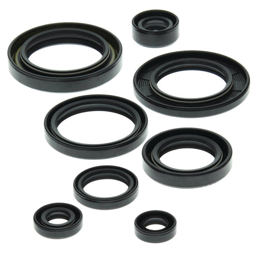 Vertex 822149 Oil Seal Kit