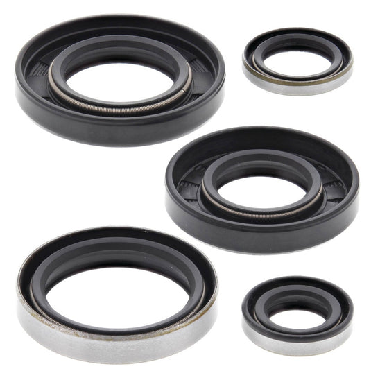 Vertex 822129 Oil Seal Kit
