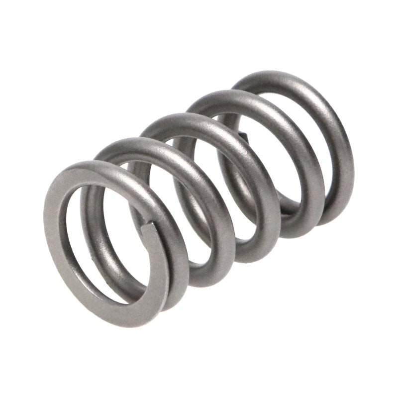 Load image into Gallery viewer, Manley Performance 22180-16 MAN Valve Spring Kits
