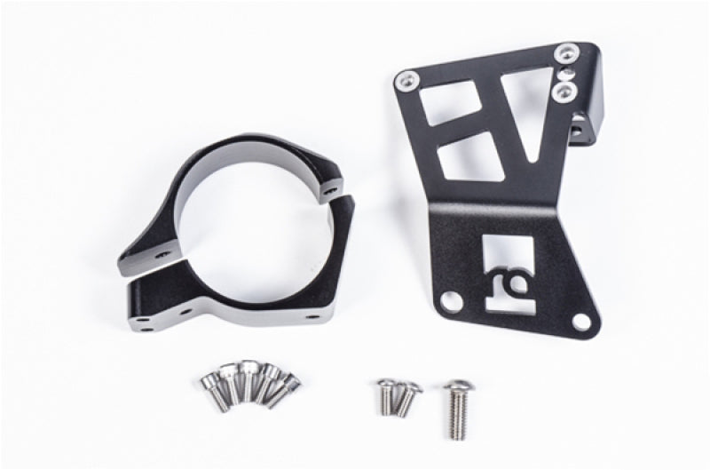 Load image into Gallery viewer, Radium Engineering 20-0310 RAD Mounting Brackets
