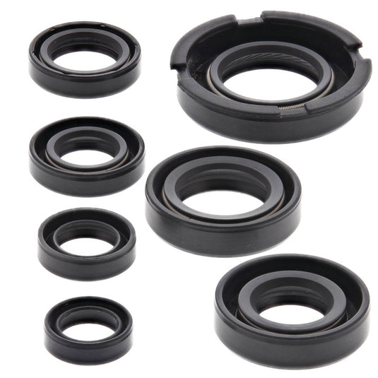 Vertex 822219 Oil Seal Kit