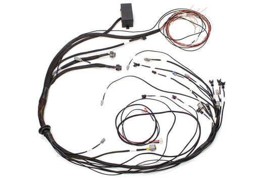 Haltech HT-140878 HAL Elite 1000 Term Harnesses