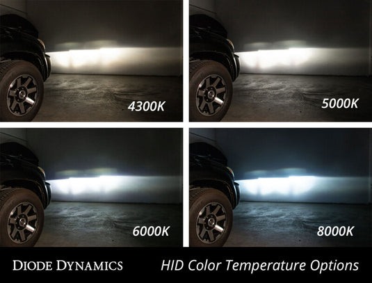 Diode Dynamics DD1045P DIO Replacement Bulbs