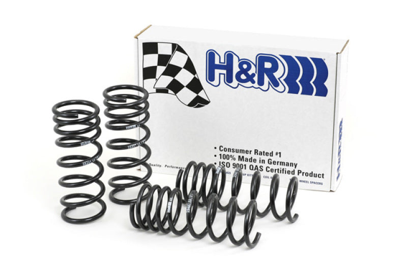 Load image into Gallery viewer, H&amp;R 29487-1 HR Race Springs
