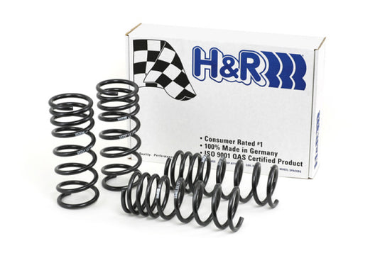 H&R 29487-1 HR Race Springs