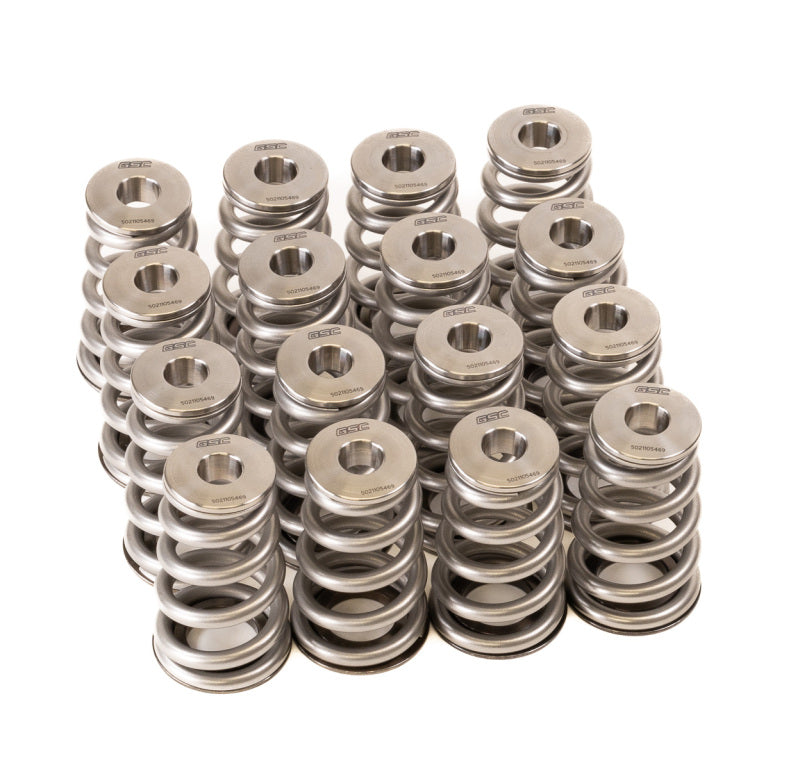 Load image into Gallery viewer, Gsc Power Division 5021 GSC Valve Spring Kits
