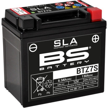 Bs Battery 300635 SLA Factory-Activated AGM Maintenance-Free Battery