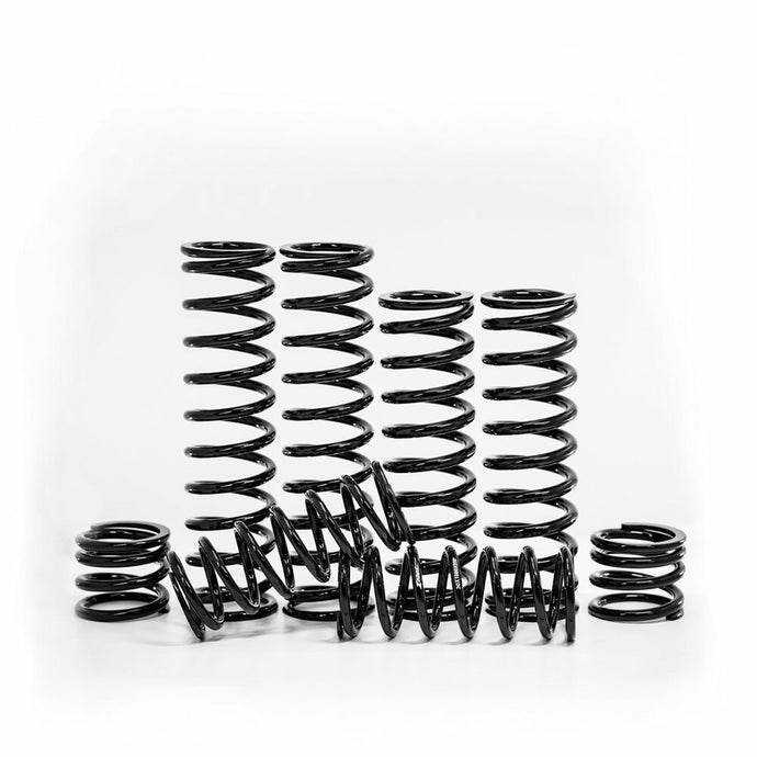 Zbroz Racing K25-PL1033-0 Dual Rate Spring Kit