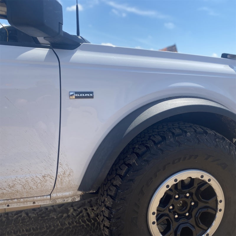 Load image into Gallery viewer, Ford Racing M-1447-GOAT FR Badges
