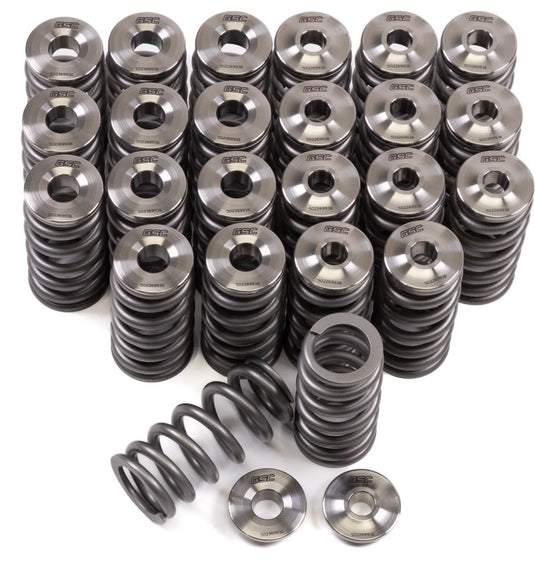 Gsc Power Division 5023 GSC Valve Spring Kits