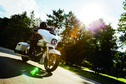 Kuryakyn 6419 KUR Frame Covers B