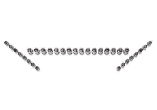 Ford Racing M-6500-GT FR Lash Adjusters