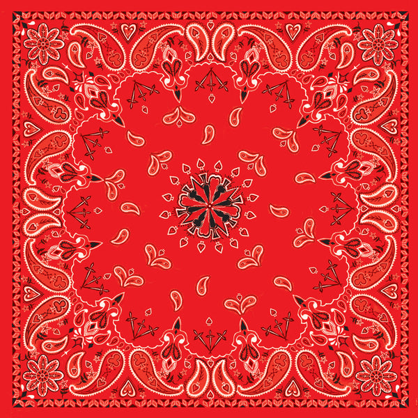 Load image into Gallery viewer, Paisley Red
