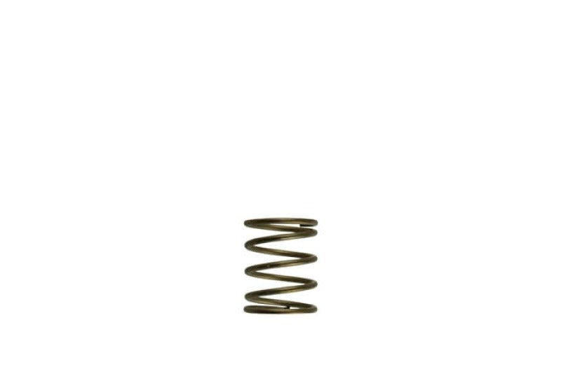 Load image into Gallery viewer, Turbosmart TS-0550-3085 TS Wastegate Springs

