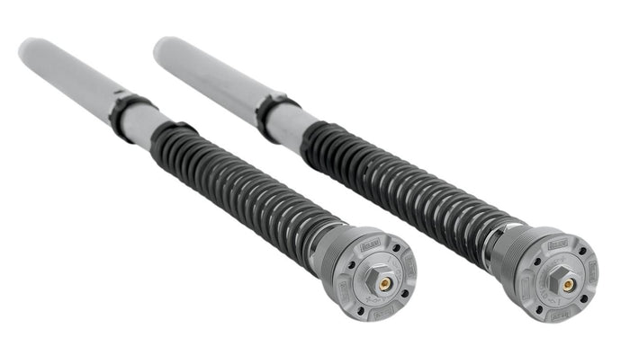Ohlins FGK202 Road & Track 30mm Front Fork Cartridge Kit
