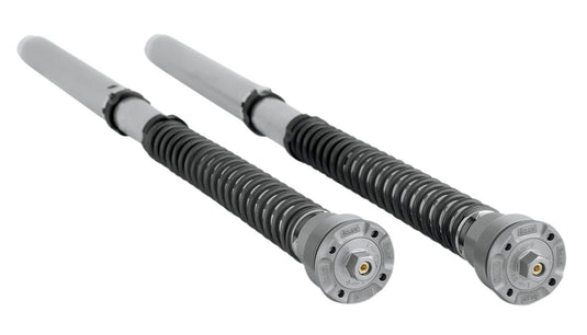 Ohlins FGK202 Road & Track 30mm Front Fork Cartridge Kit