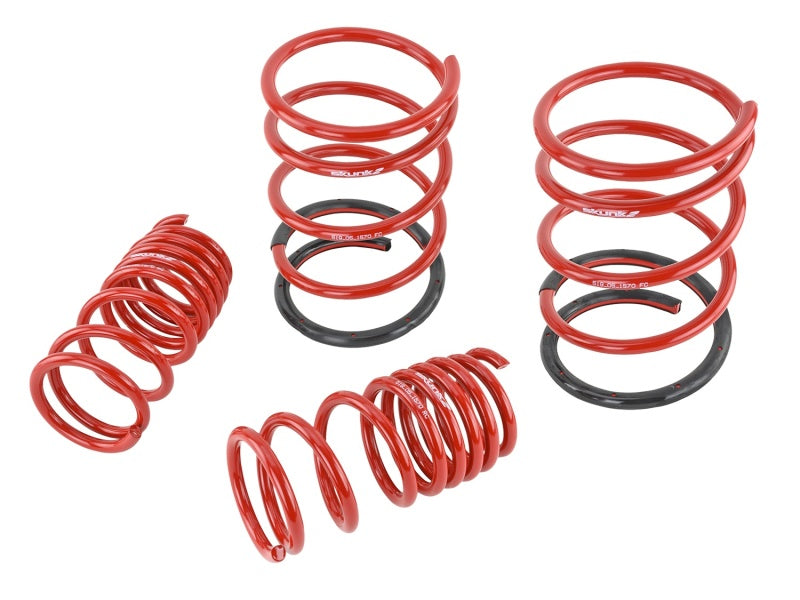 Load image into Gallery viewer, Skunk2 Racing 519-05-1570 SK Lowering Springs
