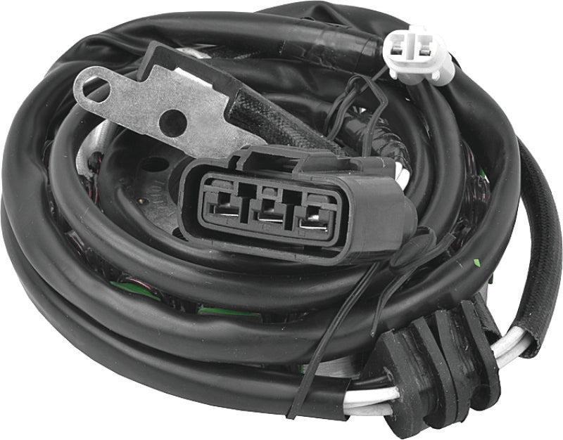 Load image into Gallery viewer, Quadboss 463522 QBS Stators
