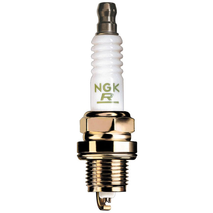 Ngk 3951 Spark Plugs - TR-55