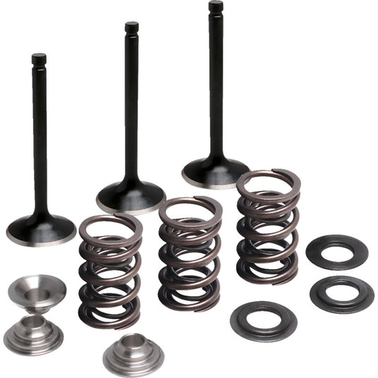 Moose Offroad M80-83050 Stainless Valve and Spring Kit - Intake