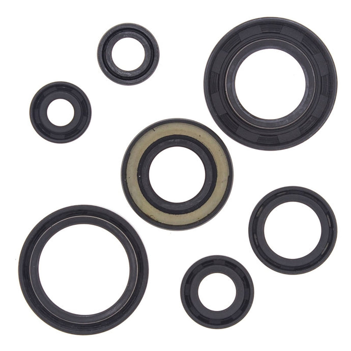 Vertex 822153 Oil Seal Kit