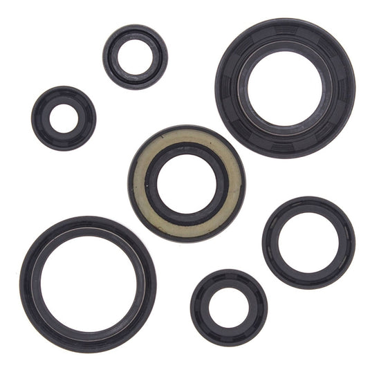 Vertex 822153 Oil Seal Kit