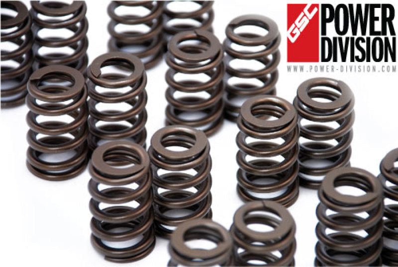 Load image into Gallery viewer, Gsc Power Division 5039 GSC Valve Spring Sets
