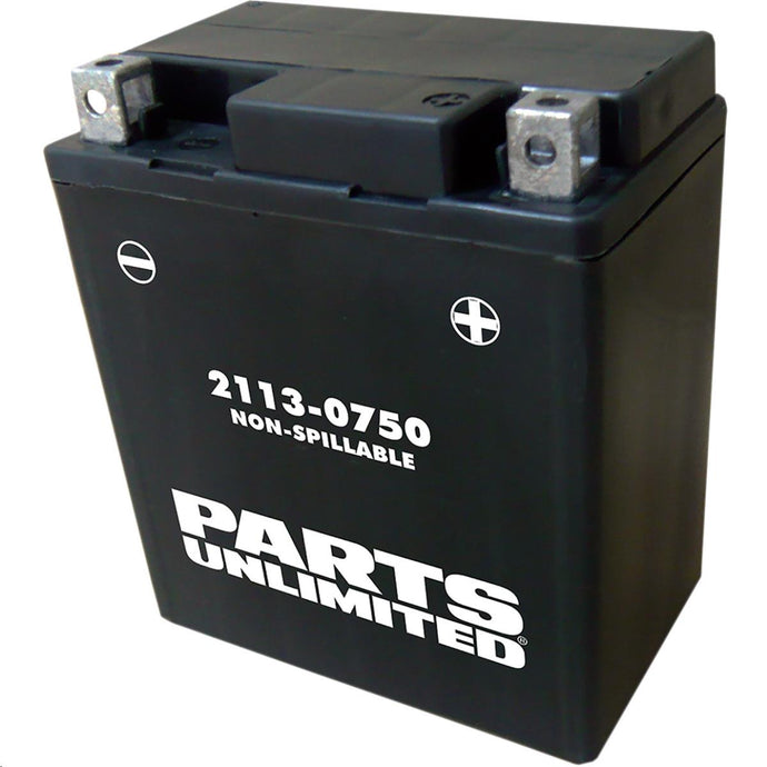 Parts Unlimited 2113-0750 AGM Factory Activated Maintenance-Free Battery