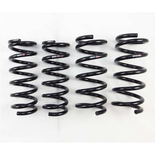 Rs-R N120D RSR Down Sus Springs