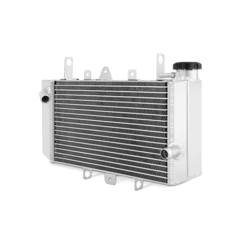 Load image into Gallery viewer, Mishimoto MMPS-YFZ450R-09 MM Radiators - Powersports
