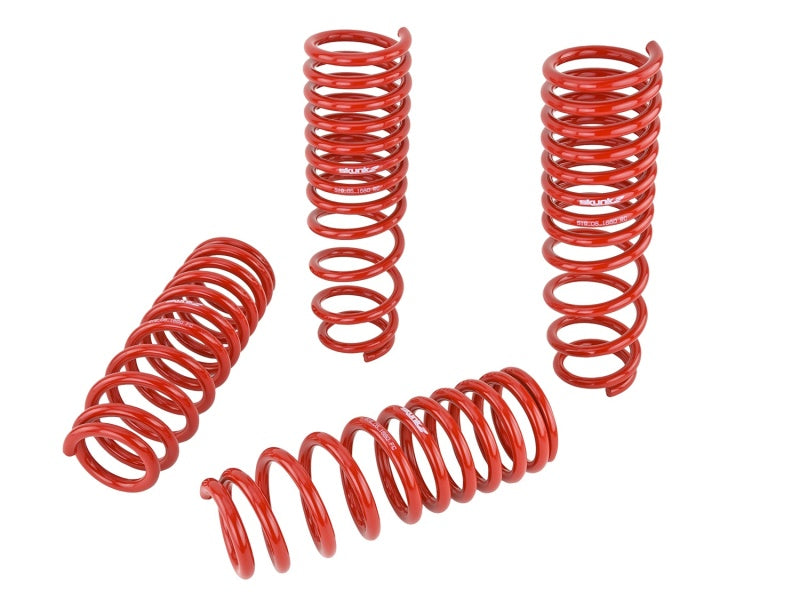 Load image into Gallery viewer, Skunk2 Racing 519-05-1660 SK Lowering Springs

