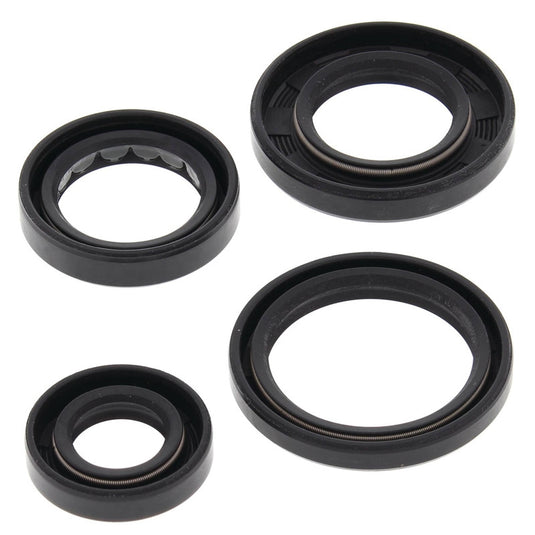 Vertex 822250 Oil Seal Kit