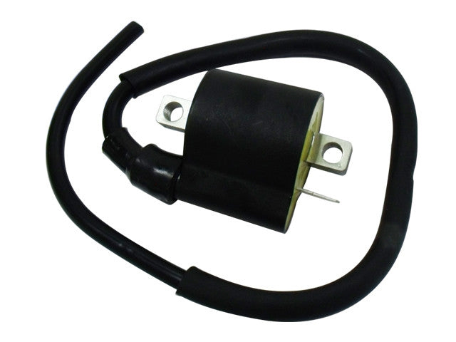 Bronco AT-01318 Ignition Coil