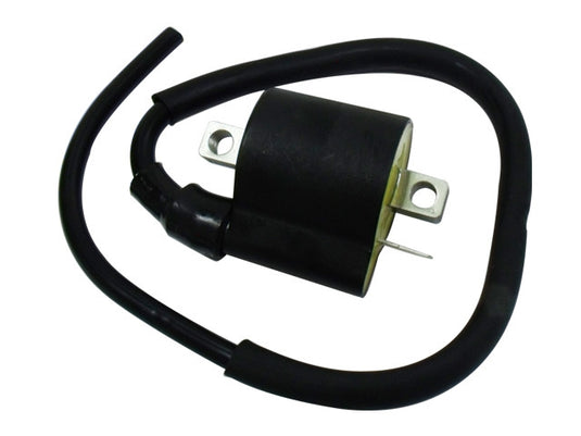 Bronco AT-01318 Ignition Coil
