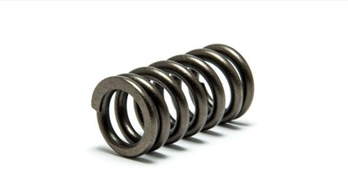 Psychic Mx XU-09551IS Intake Exhaust Spring