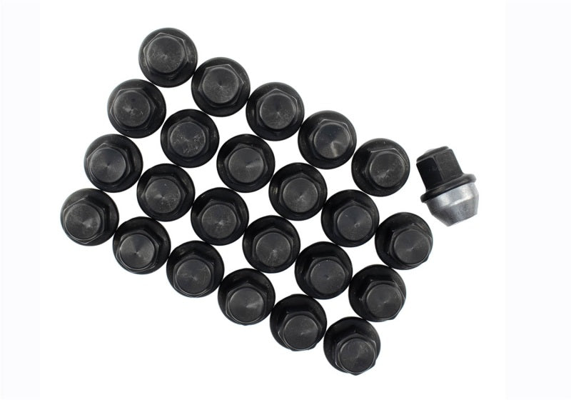 Load image into Gallery viewer, Ford Racing M-1012K-F15B FR Lug Nut Kits
