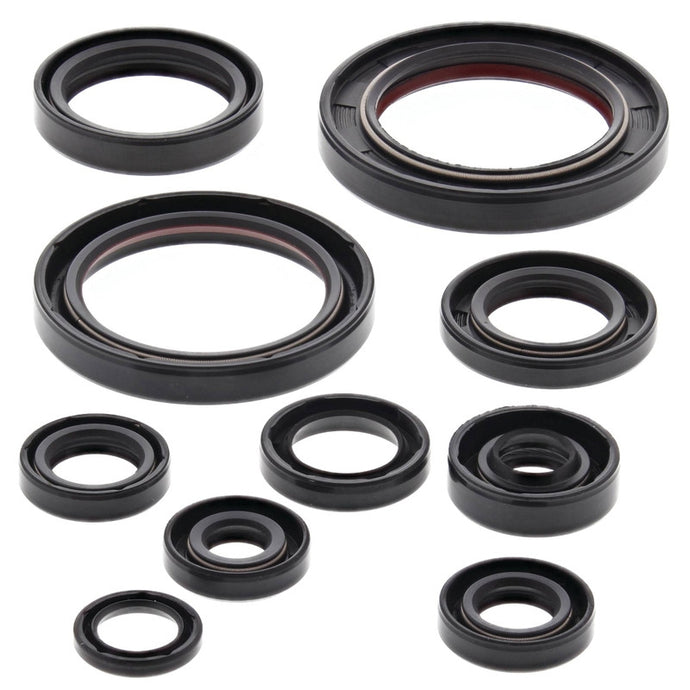 Vertex 822248 Oil Seal Kit