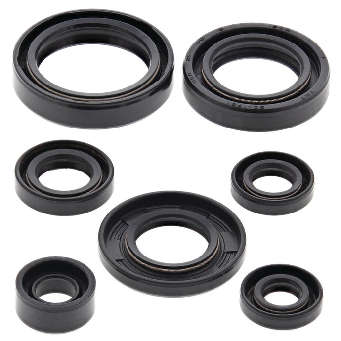 Vertex 822197 Oil Seal Kit