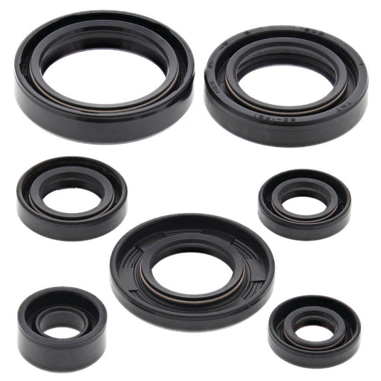 Vertex 822197 Oil Seal Kit