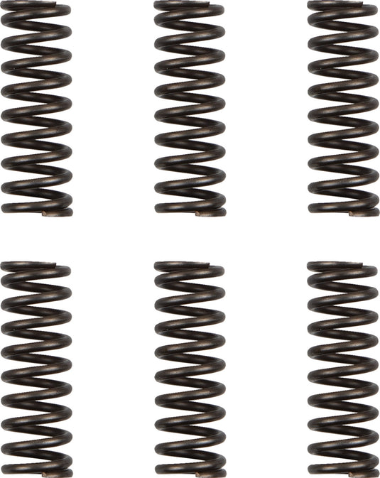 Moose Racing HDS-156-6 Clutch Spring Set