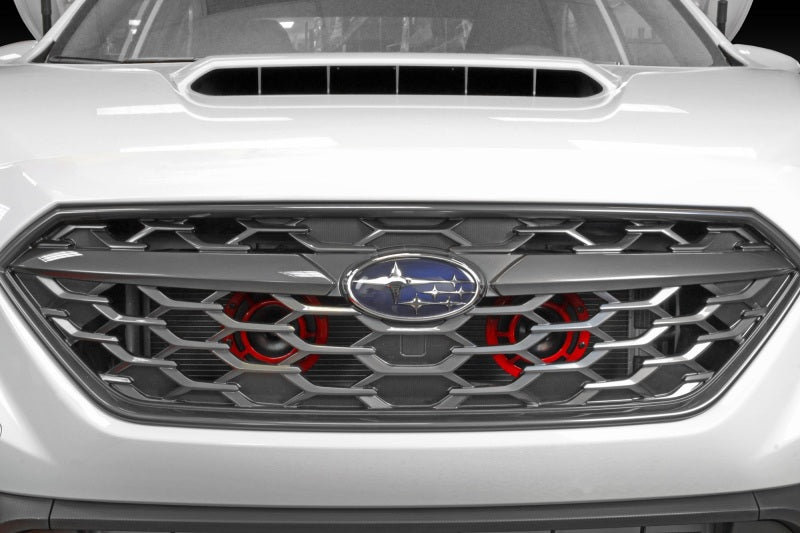 Load image into Gallery viewer, Perrin Performance PSP-BDY-305 PA Bracket for Hella Horns
